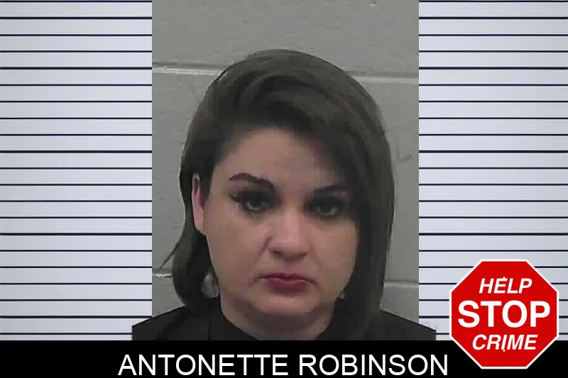 Antonette Robinson mugshot
