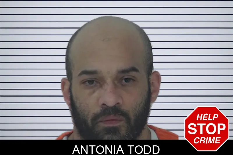Antonia Todd mugshot