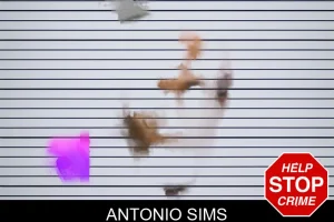 Antonio Sims mugshot