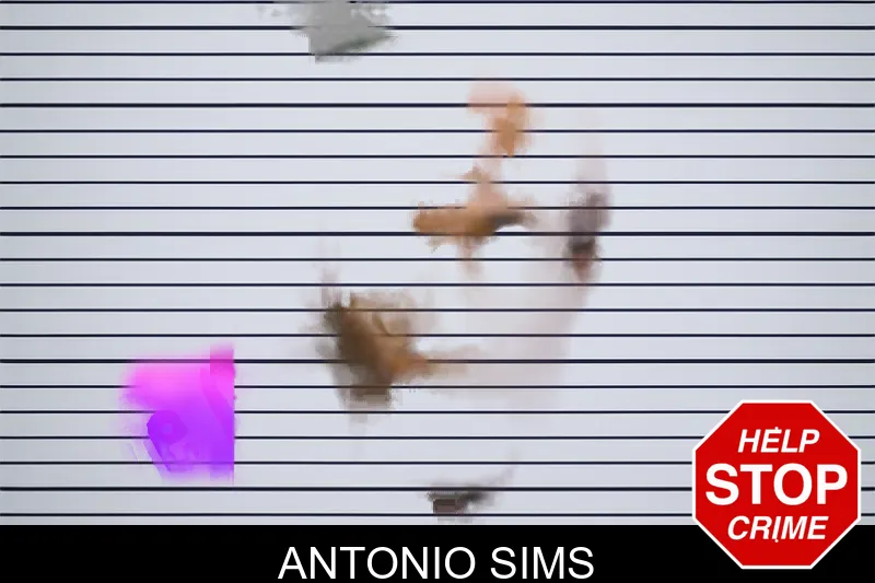 Antonio Sims mugshot