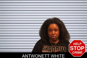 Antwonett White mugshot
