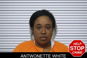 Antwonette White mugshot