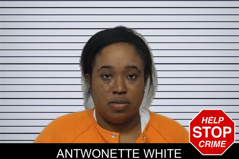 Antwonette White mugshot