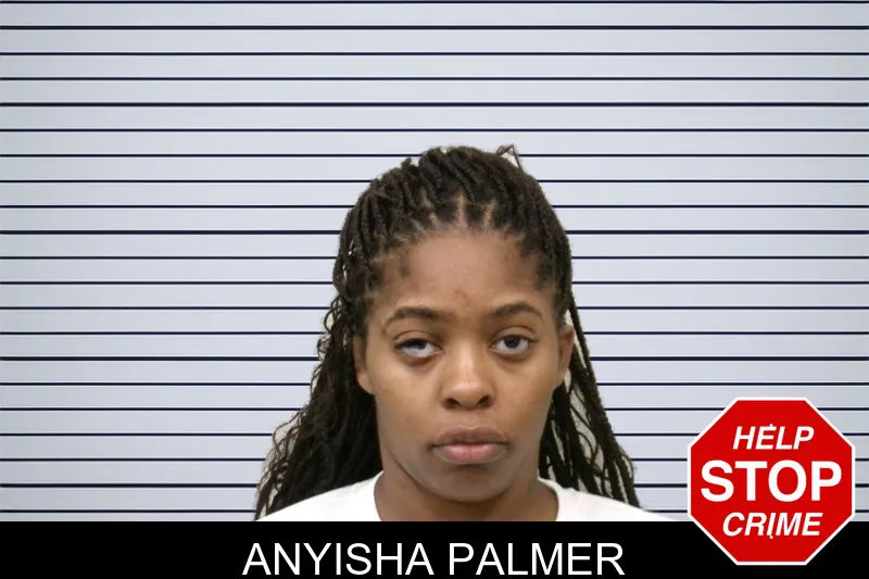 Anyisha Palmer mugshot