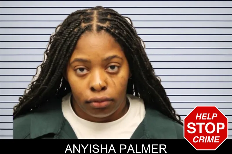 Anyisha Palmer mugshot