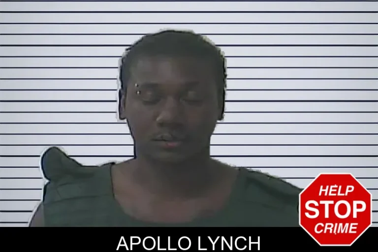 Apollo Lynch
