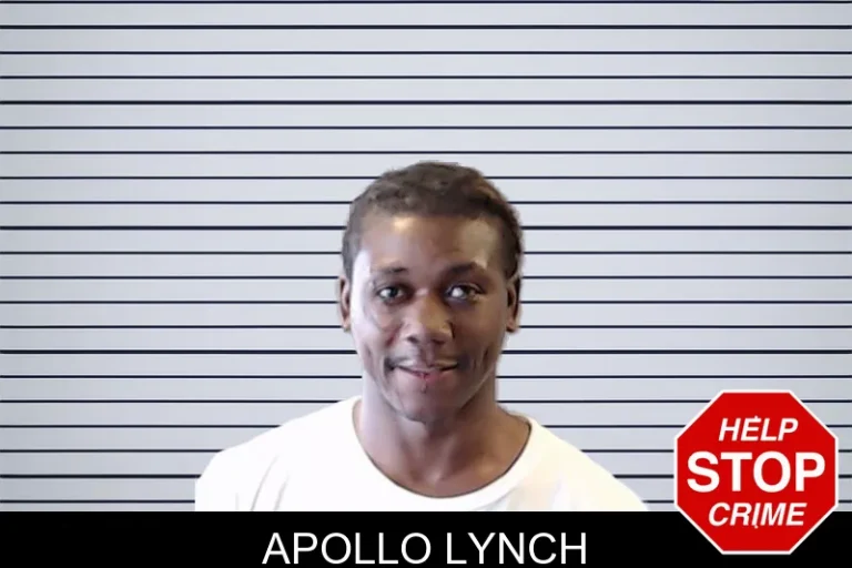 Apollo Lynch