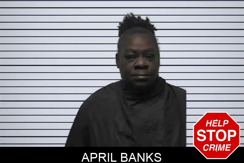 April Banks mugshot – Pike County , Georgia April Banks mugshot