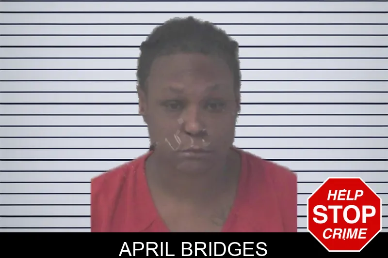 April Bridges mugshot