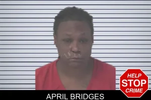 April Bridges mugshot