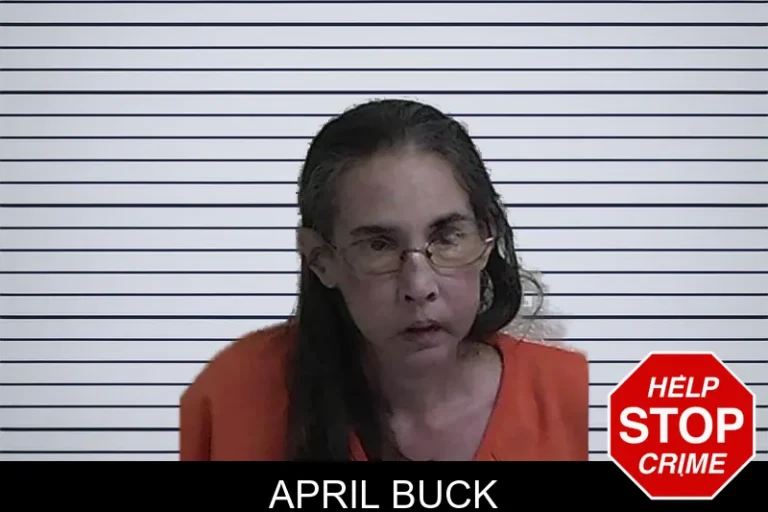 April Buck mugshot – Fannin County , Georgia April Buck
