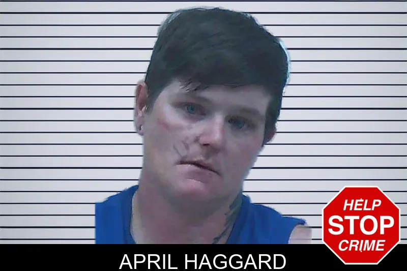 April Haggard mugshot