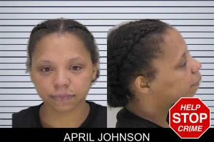 April Johnson mugshot