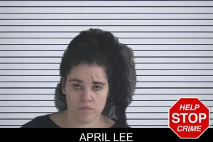 April Lee mugshot