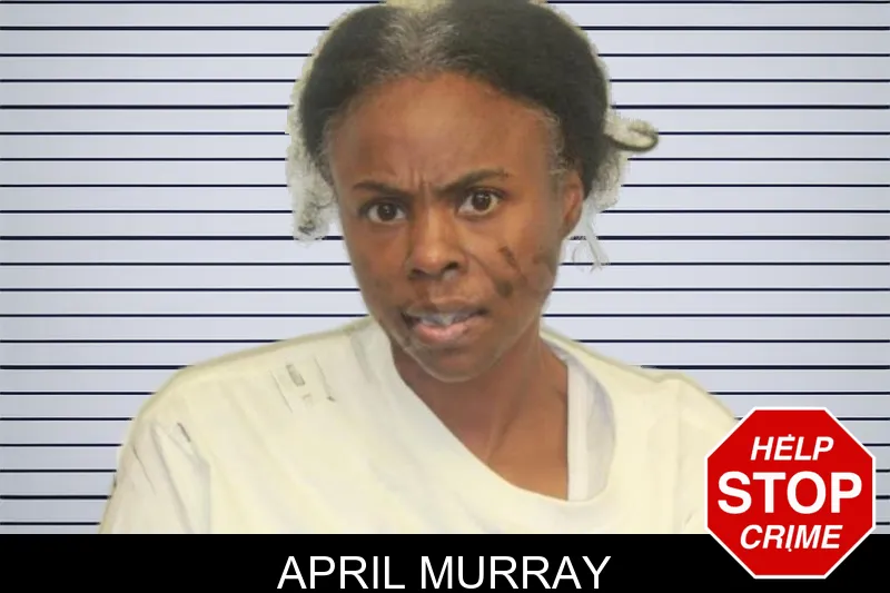 April Murray mugshot