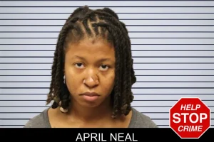 April Neal mugshot