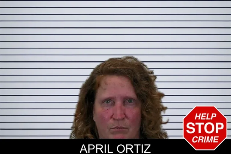 April Ortiz mugshot – Hart County , Georgia April Ortiz