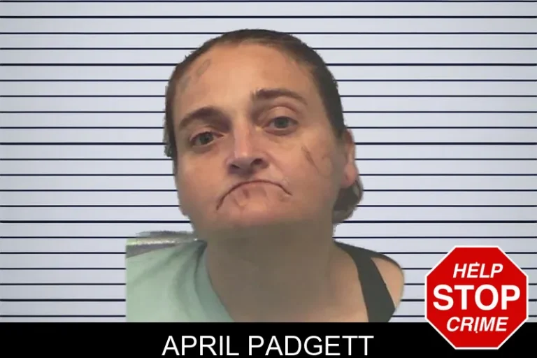April Padgett mugshot – Ware County , Georgia April Padgett