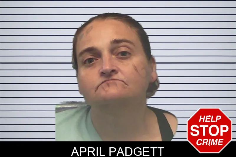 April Padgett mugshot