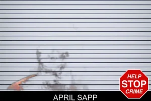 April Sapp mugshot