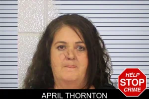April Thornton mugshot