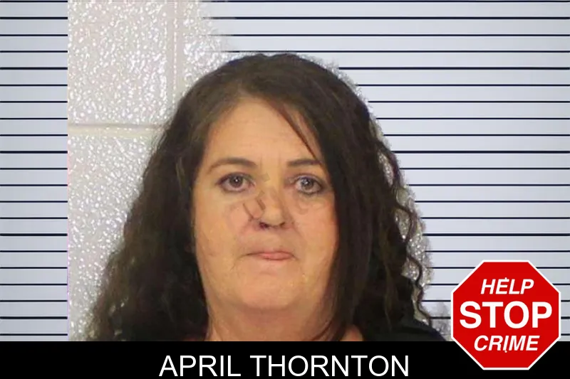 April Thornton mugshot