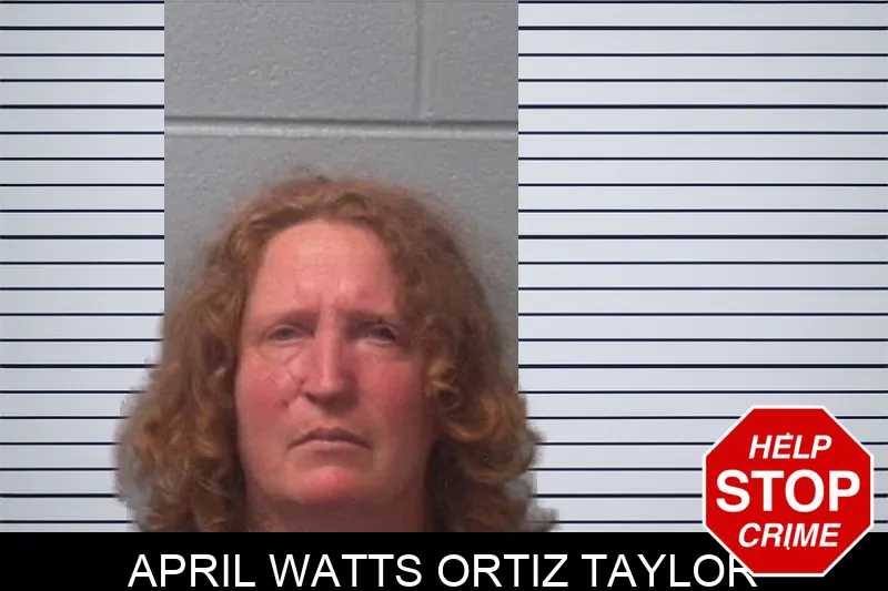 April Watts Ortiz Taylor mugshot – Franklin County , Georgia April Watts Ortiz Taylor mugshot