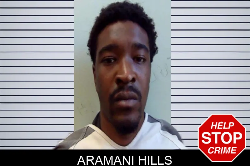Aramani Hills mugshot