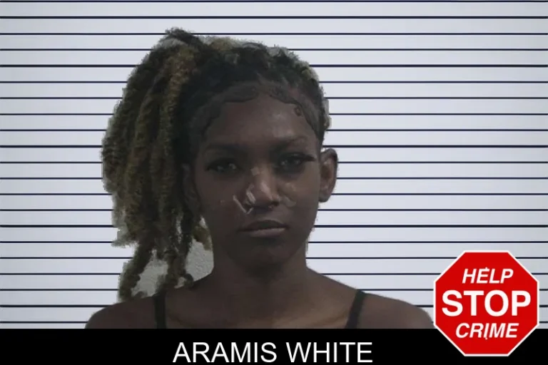 Aramis White mugshot – McDuffie County , Georgia Aramis White