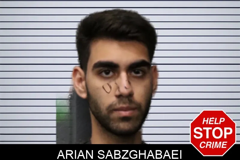 Arian Sabzghabaei mugshot