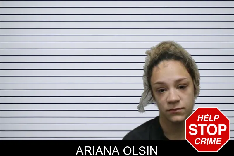Ariana Olsin mugshot