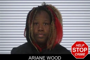 Ariane Wood mugshot