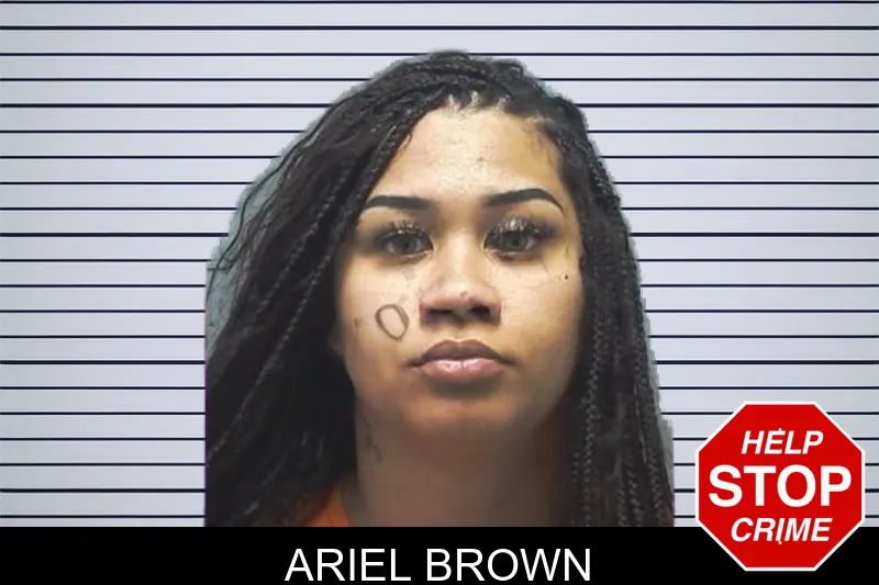 Ariel Brown mugshot – Cherokee County , Georgia Ariel Brown mugshot