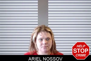 Ariel Nossov mugshot