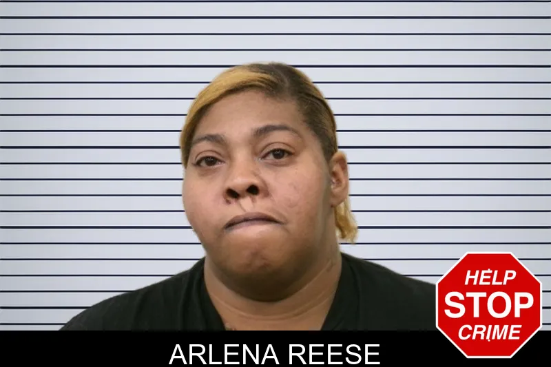 Arlena Reese mugshot – Bulloch County , Georgia Arlena Reese mugshot