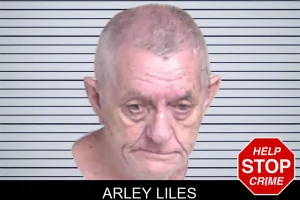 Arley Liles mugshot