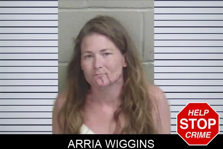 Arria Wiggins mugshot – Wayne County , Georgia Arria Wiggins