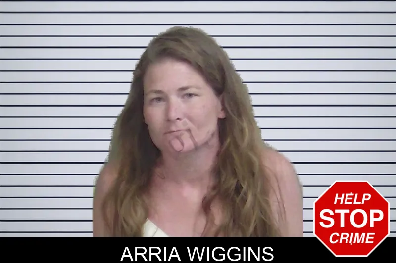 Arria Wiggins mugshot – Wayne County , Georgia Arria Wiggins mugshot