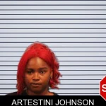 Artestini Johnson mugshot