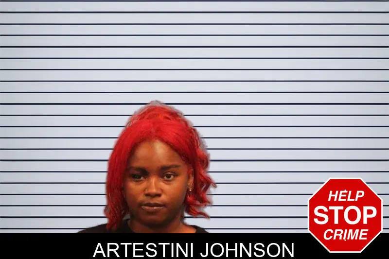 Artestini Johnson mugshot