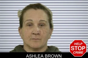 Ashlea Brown mugshot