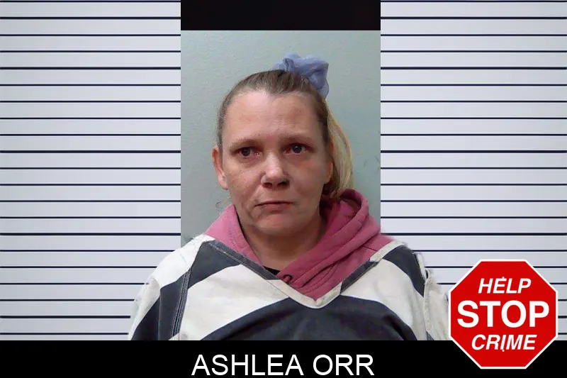 Ashlea Orr mugshot