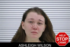 Ashleigh Wilson mugshot