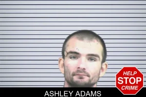 Ashley Adams mugshot
