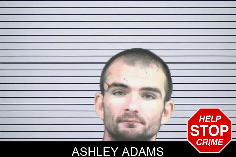 Ashley Adams mugshot