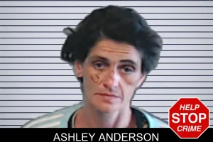 Ashley Anderson mugshot