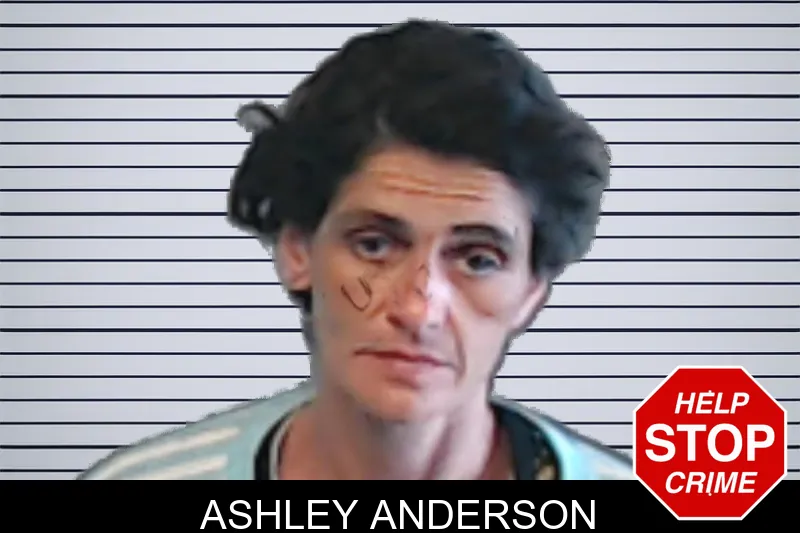 Ashley Anderson mugshot