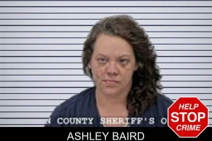 Ashley Baird mugshot