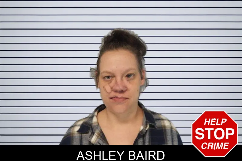Ashley Baird mugshot – Hall County , Georgia Ashley Baird mugshot