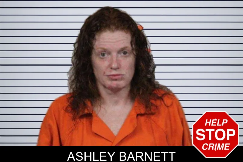 Ashley Barnett mugshot